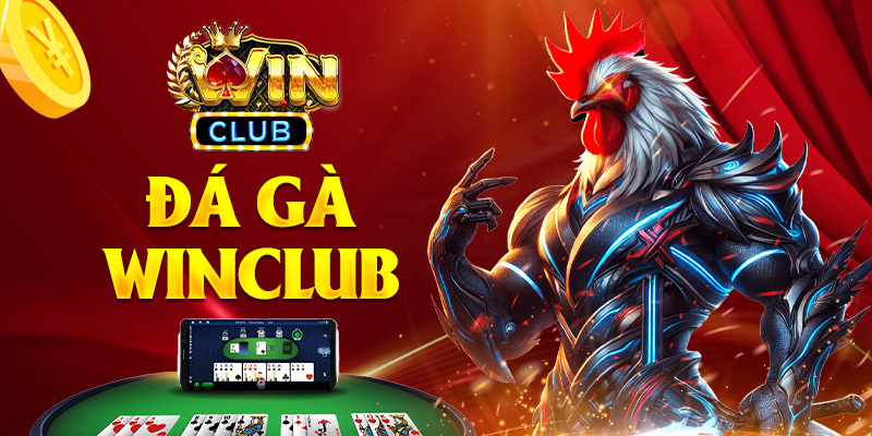 Đá gà Winclub